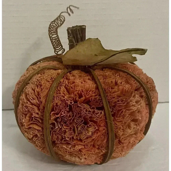 Fall Pumpkin Natural Materials Halloween Harvest Decor Orange 5” x 5” - Picture 2 of 5